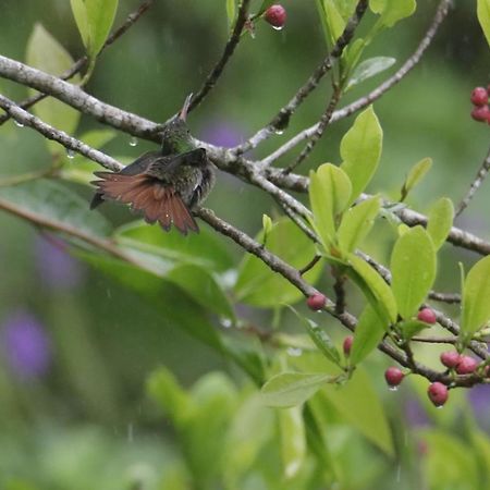 הוילה ביחגואה Aves De Tierras Altas מראה חיצוני תמונה