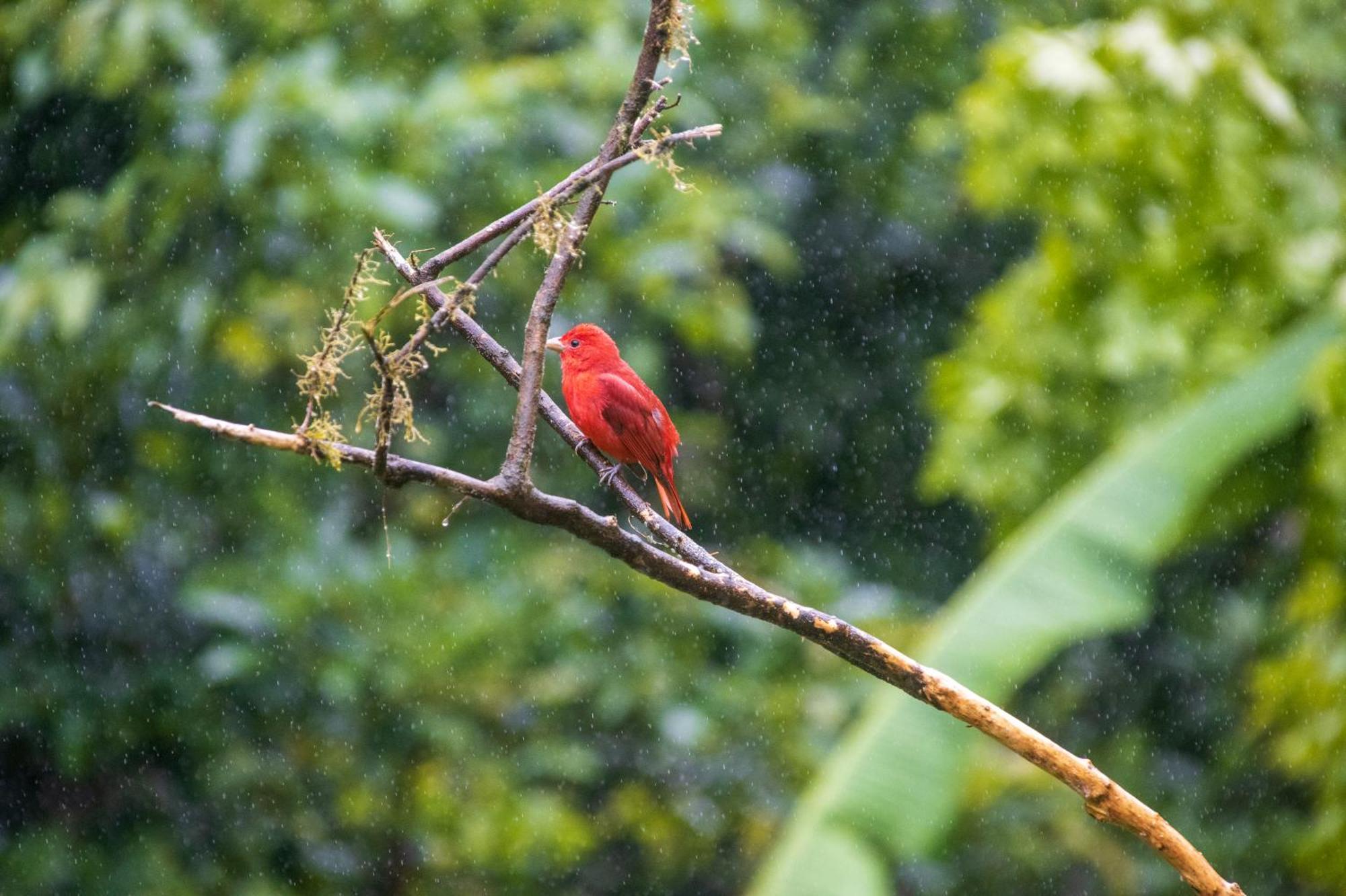 הוילה ביחגואה Aves De Tierras Altas מראה חיצוני תמונה