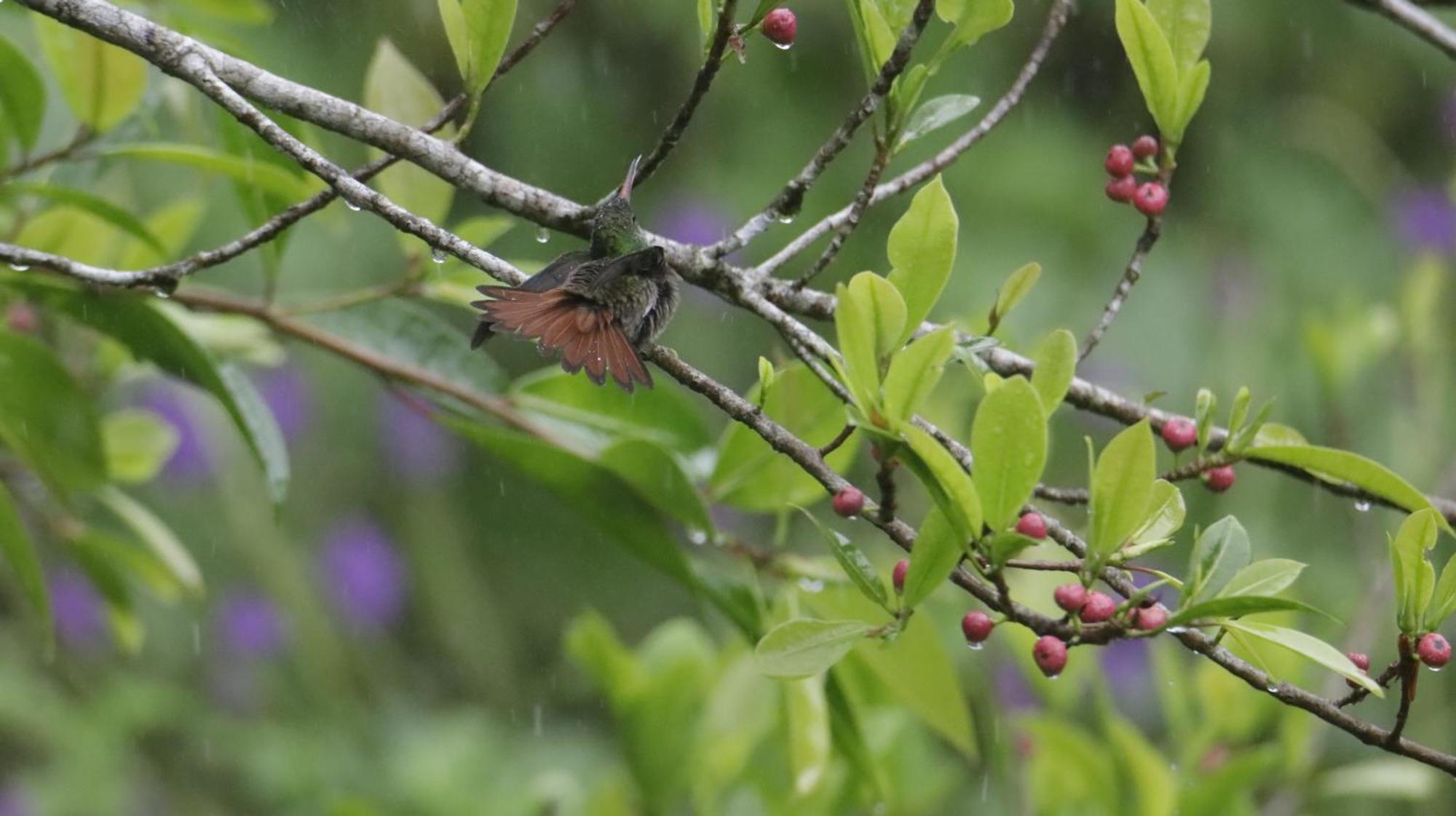 הוילה ביחגואה Aves De Tierras Altas מראה חיצוני תמונה