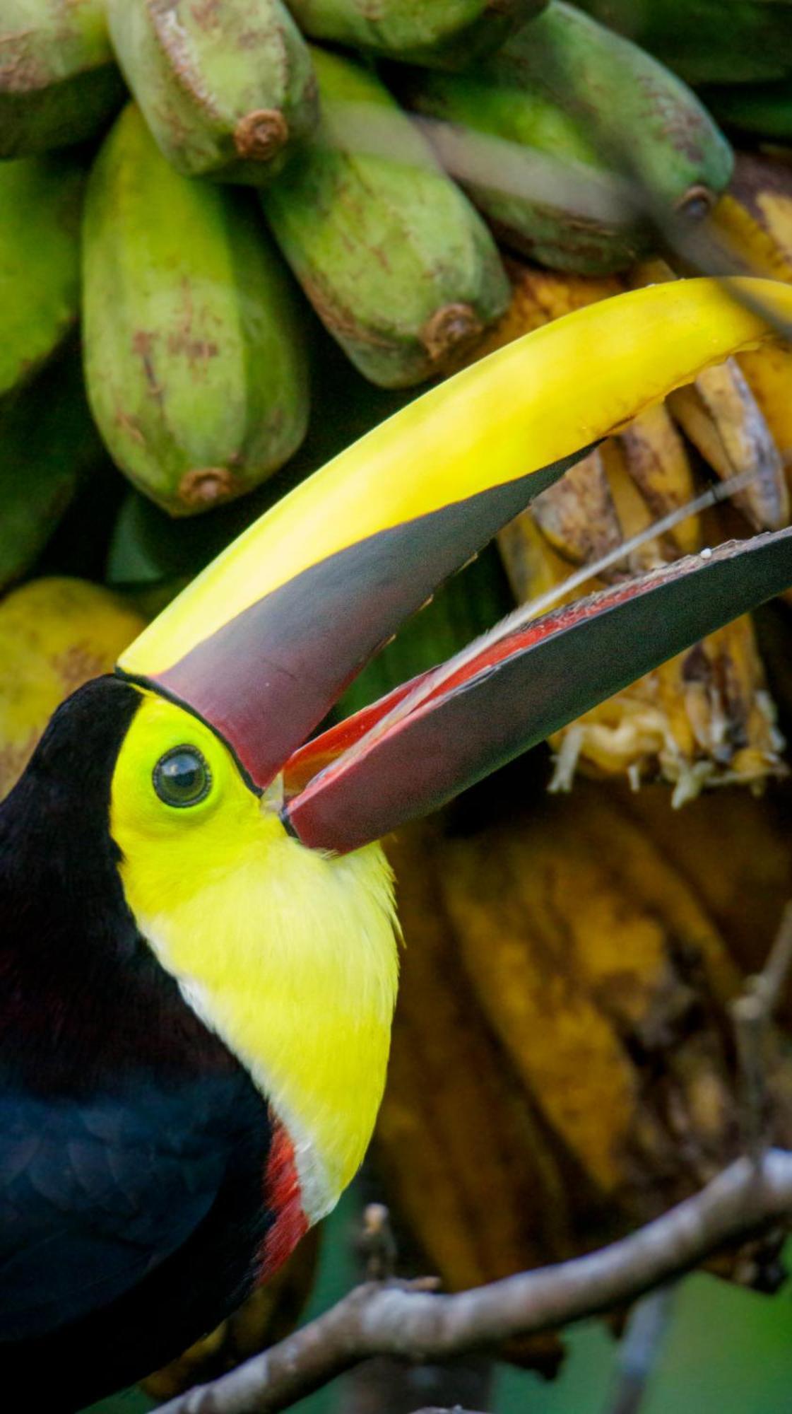 הוילה ביחגואה Aves De Tierras Altas מראה חיצוני תמונה
